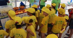 Fruit&Salad on the Beach arriva in Marche e  Molise