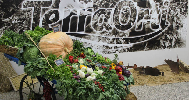 Terra Orti protagonista dal 10 al 12 maggio con Italia Ortofrutta al Macfrut di Rimini